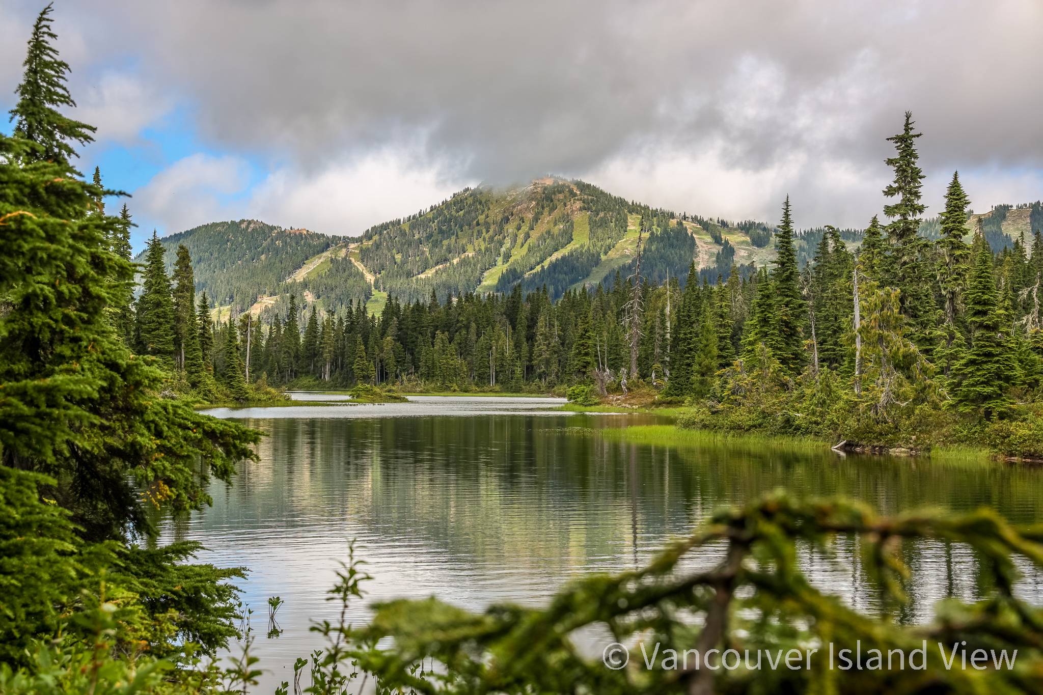 Victoria parliament buildings with ferry docked