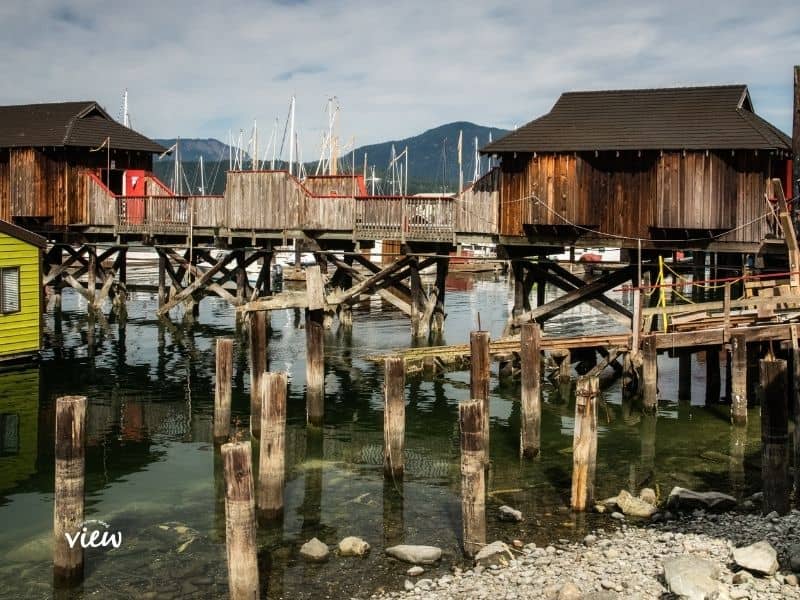 Surfer walks along a misty beach with surfboard