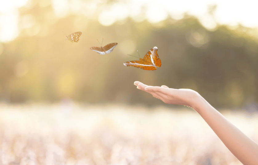 Healing Session w/ Tyler 