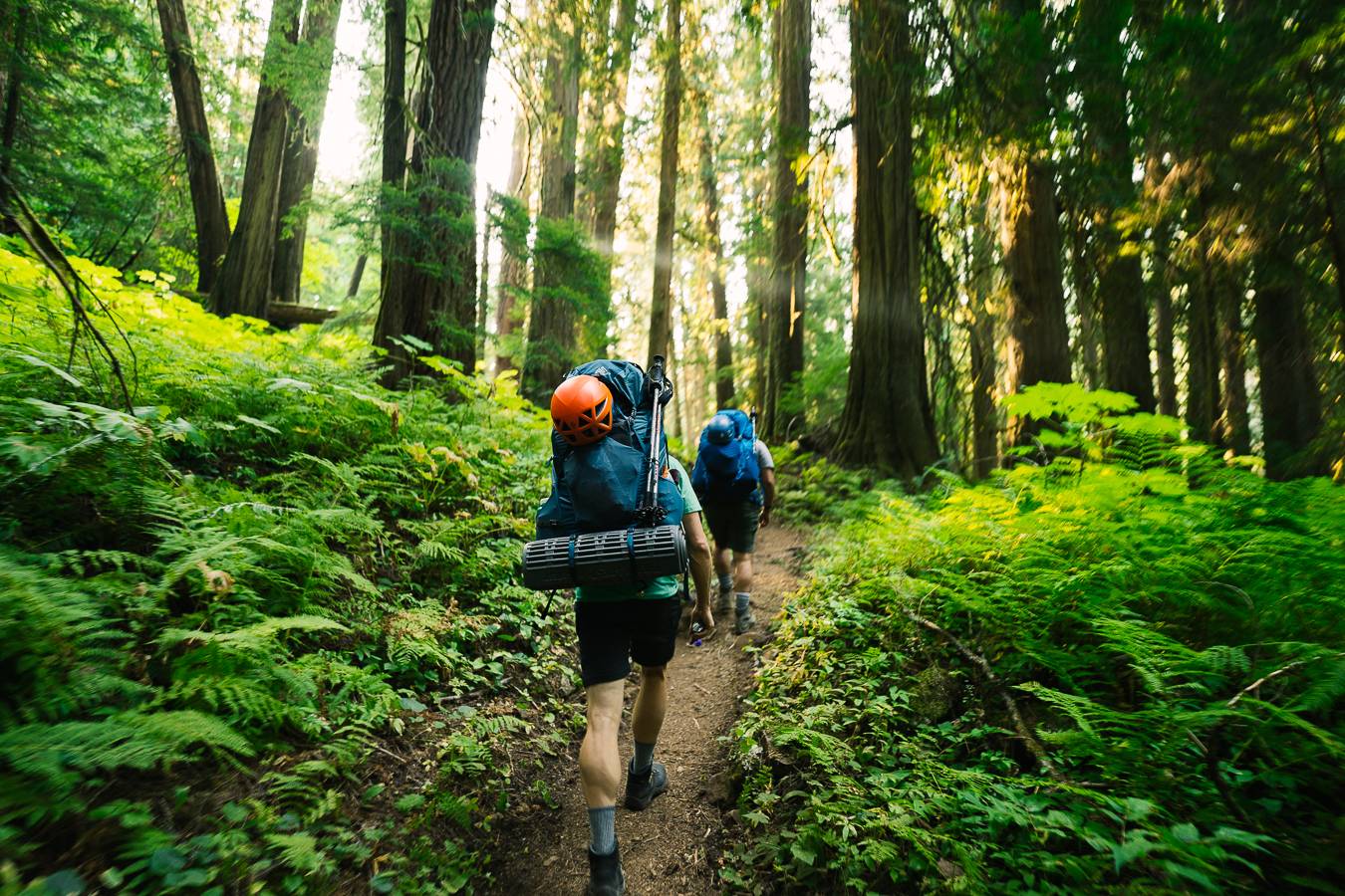 Hiking through the forest with a heavy pack