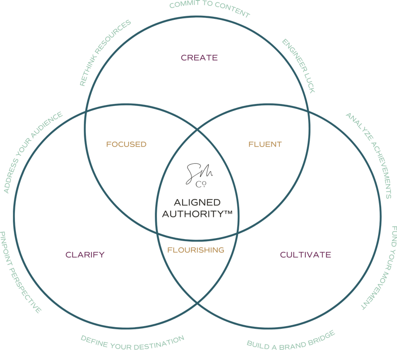 Venn Diagram Marketing Framework