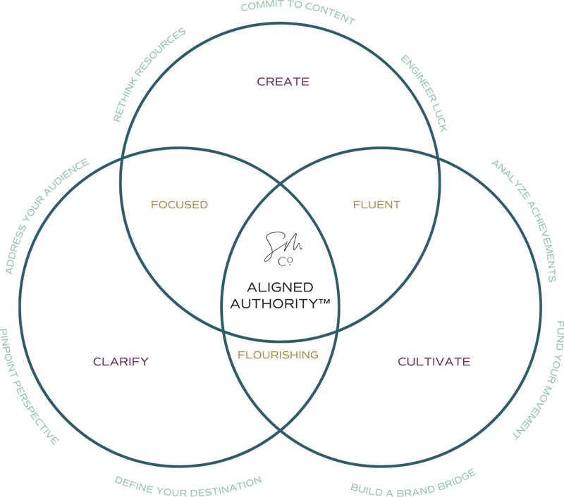 Venn Diagram Marketing Framework