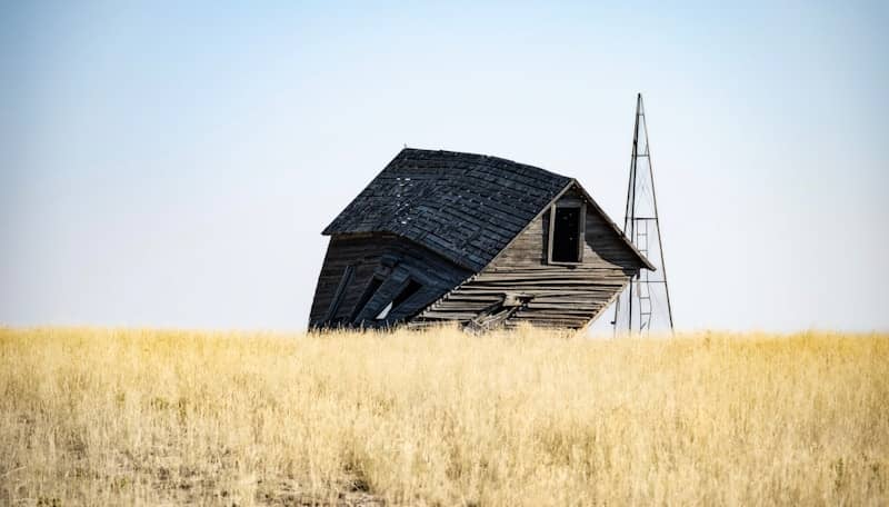 A weathered barn stands in a golden field.