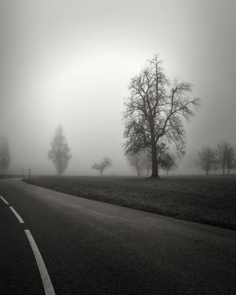 A black and white photo of a foggy road