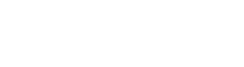 Nollie Logo