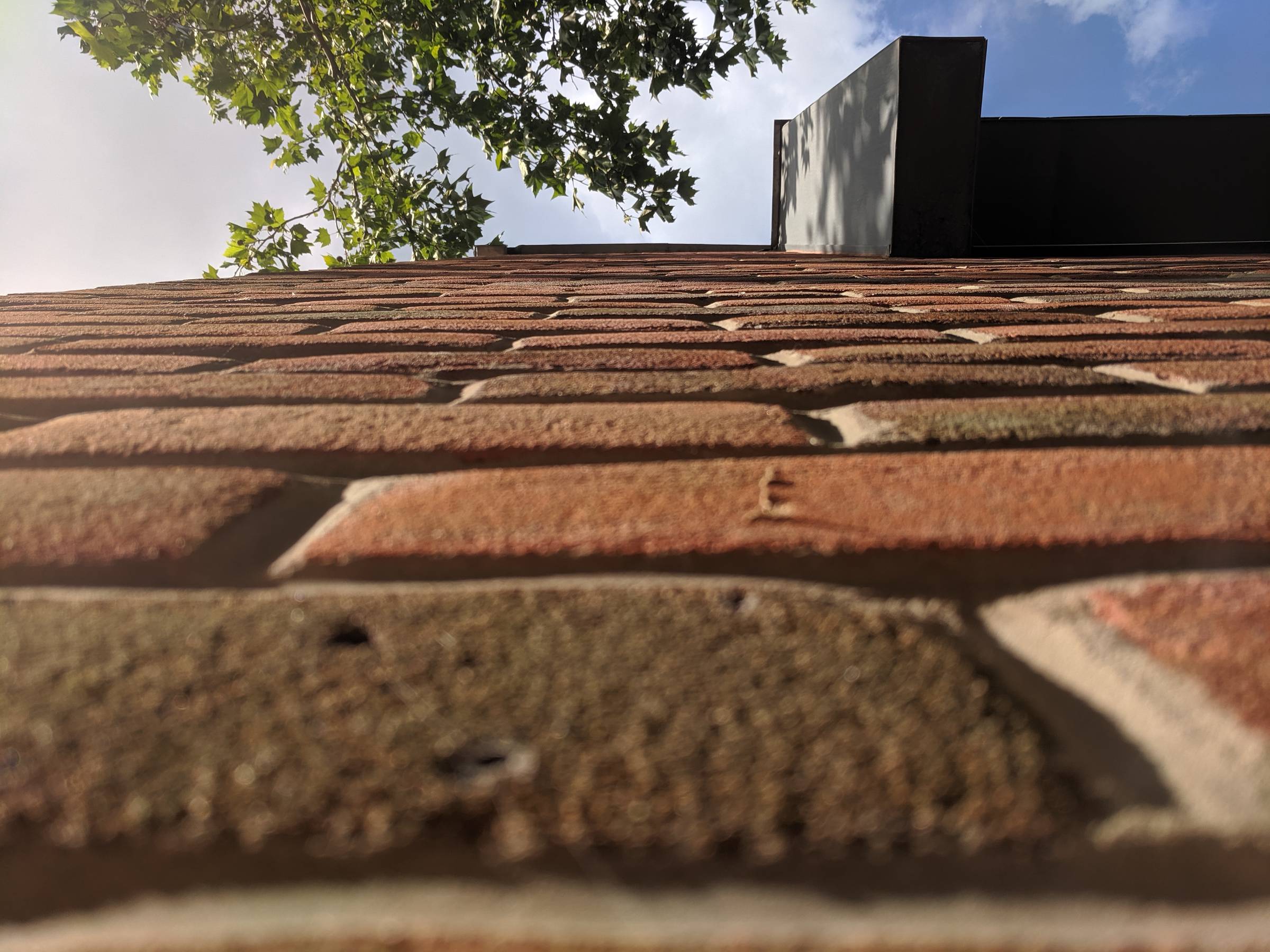 Image of a brick wall taken from below, looking up to the sky with a tree branch hanging over it.  www.sheelahobden.com