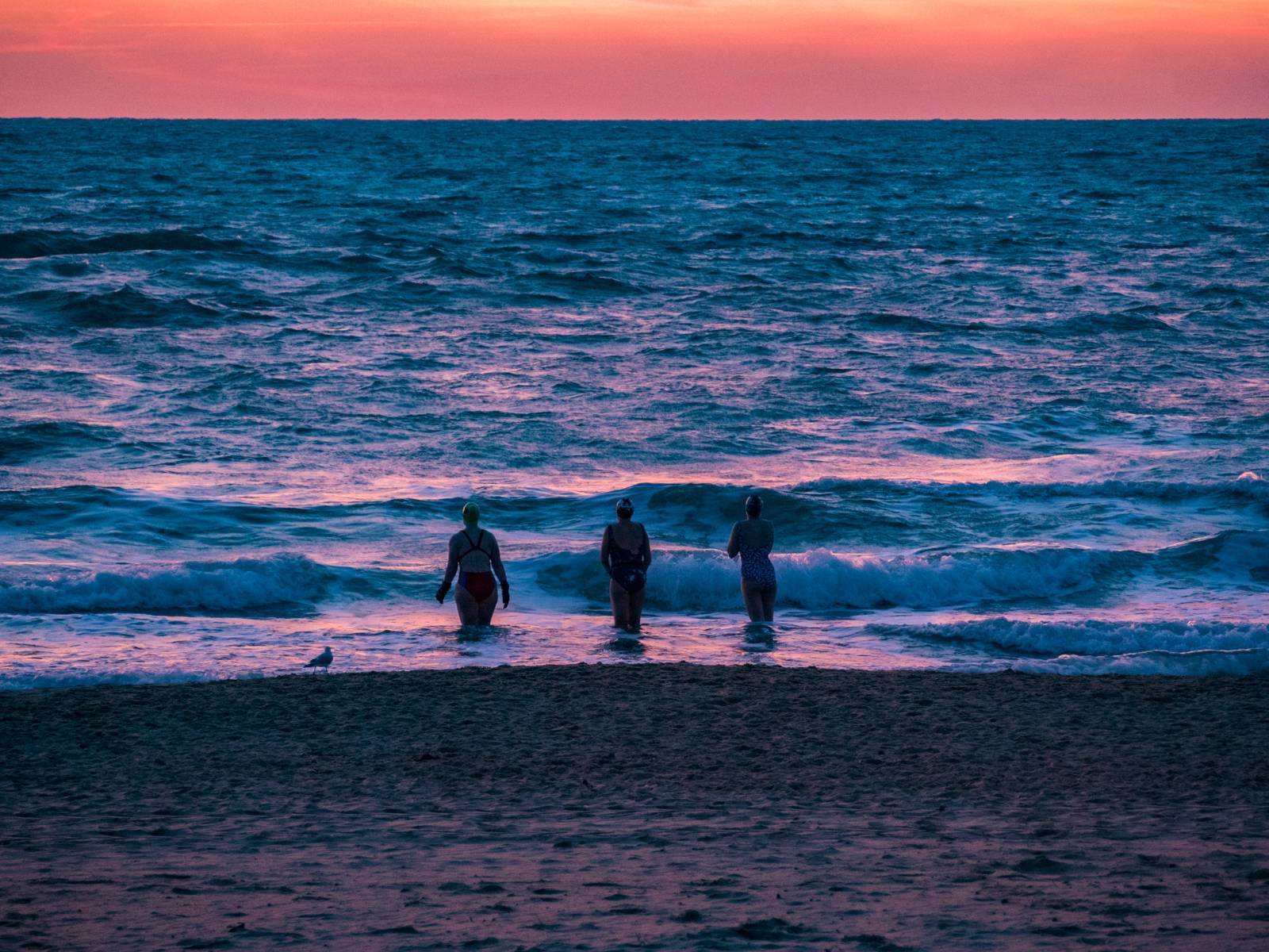 Image of a red winter sunrise , with three swimmers preparing to enter the icy water.  Their cold visible from the hunched shoulders.  Sheela Hobden of www.bluegreencoaching.com