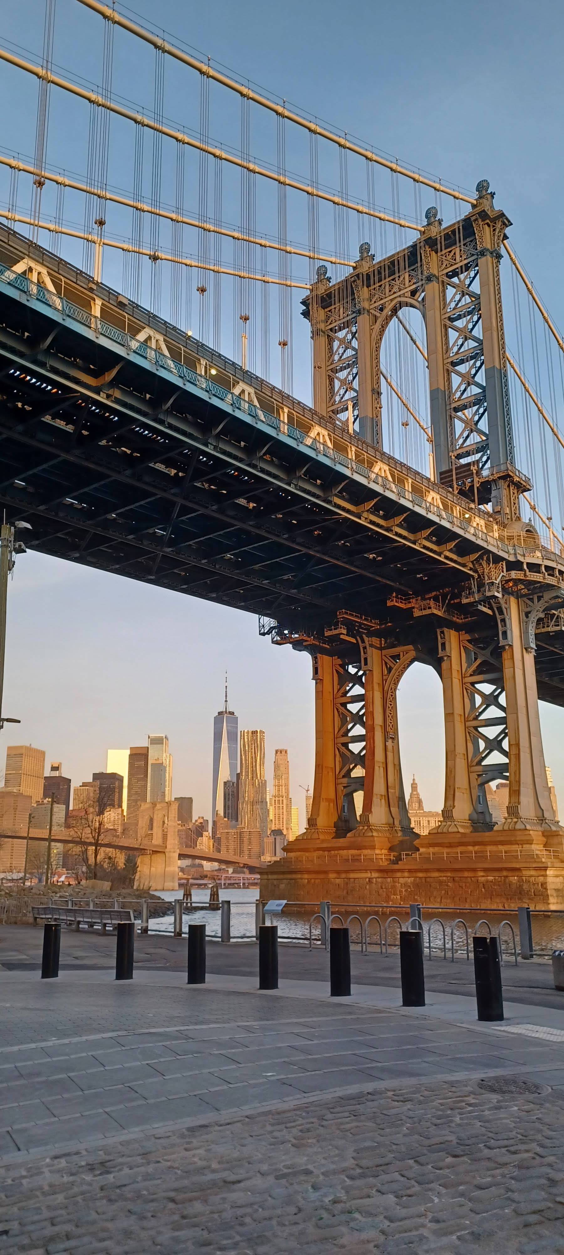 TrueBoots Premium - Happy 2026!