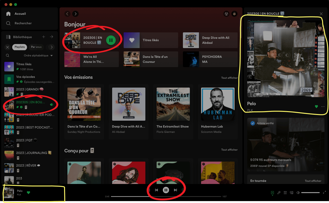 Interface Spotify