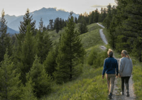Yesterday's Feast: Saint Bernard- Nature Does Not Have an Algorithm Designed to Destroy You
