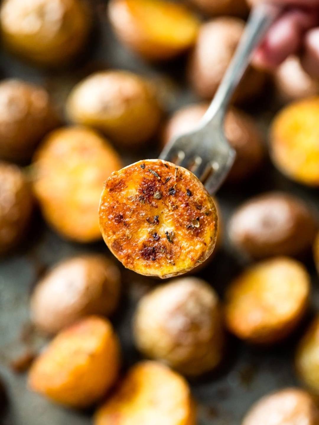 Oven Roasted Baby Potatoes