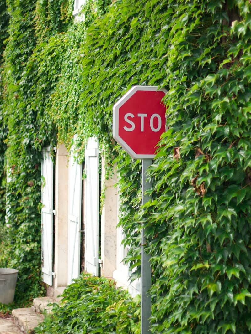 stop signage