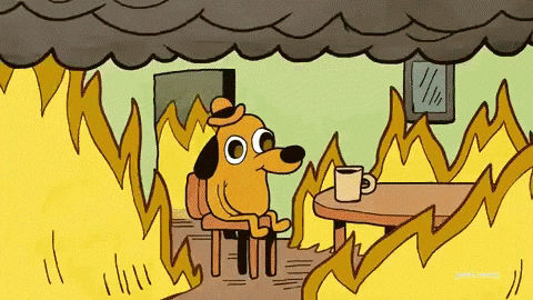meme/gif of dog saying "This is fine" while his house burns down