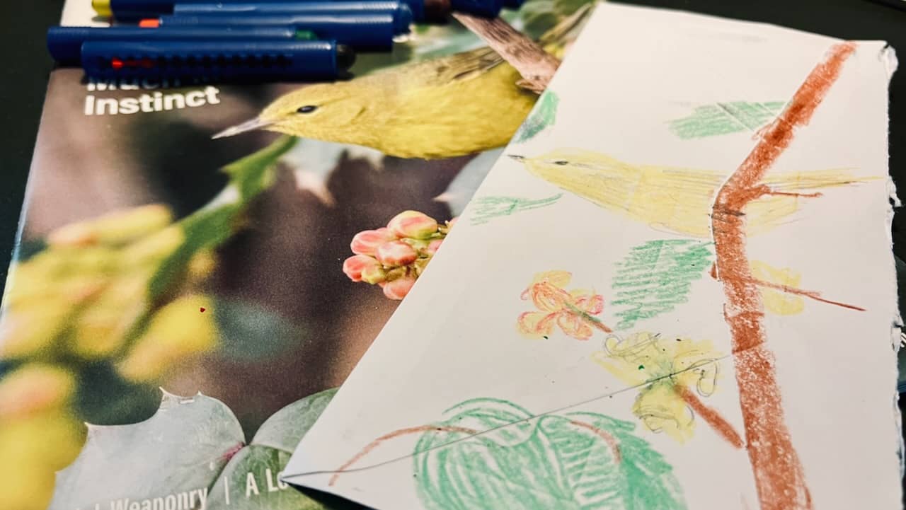 photo and crayon drawing of a yellow warbler