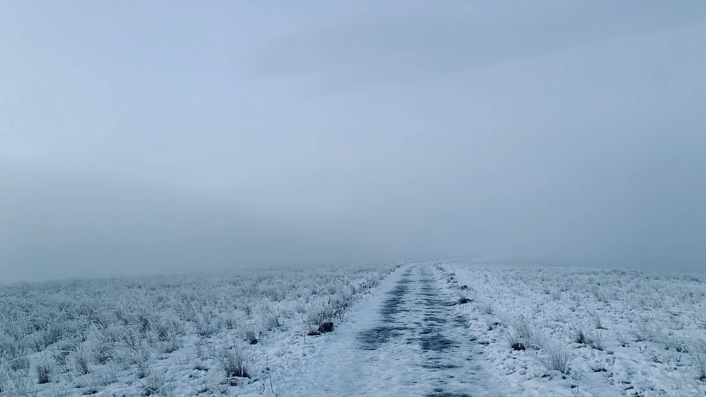 image of a trail in the North Hills in Missoula on a foggy day. 