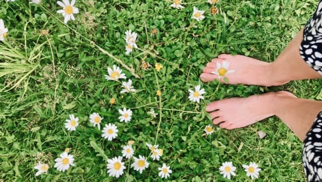 a photo of feet in green grass mixed with daisies