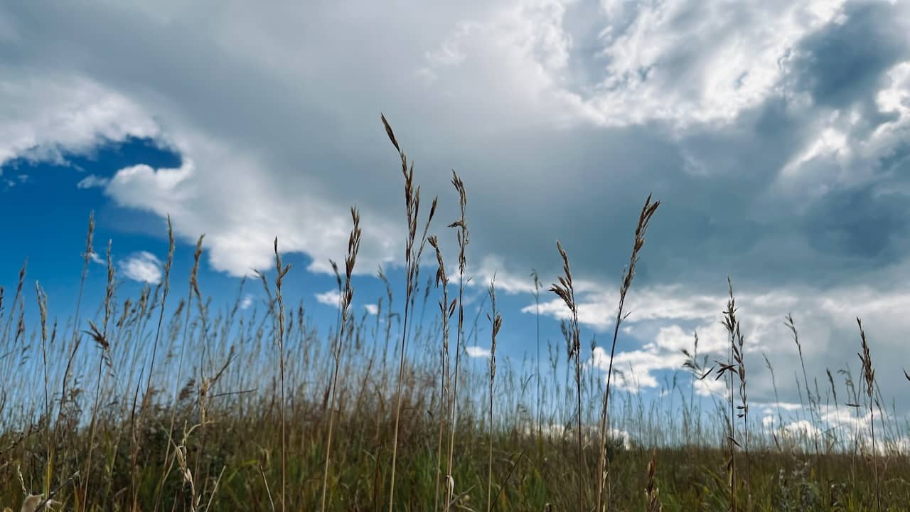 rainclouds and grass in the Missoula North Hills