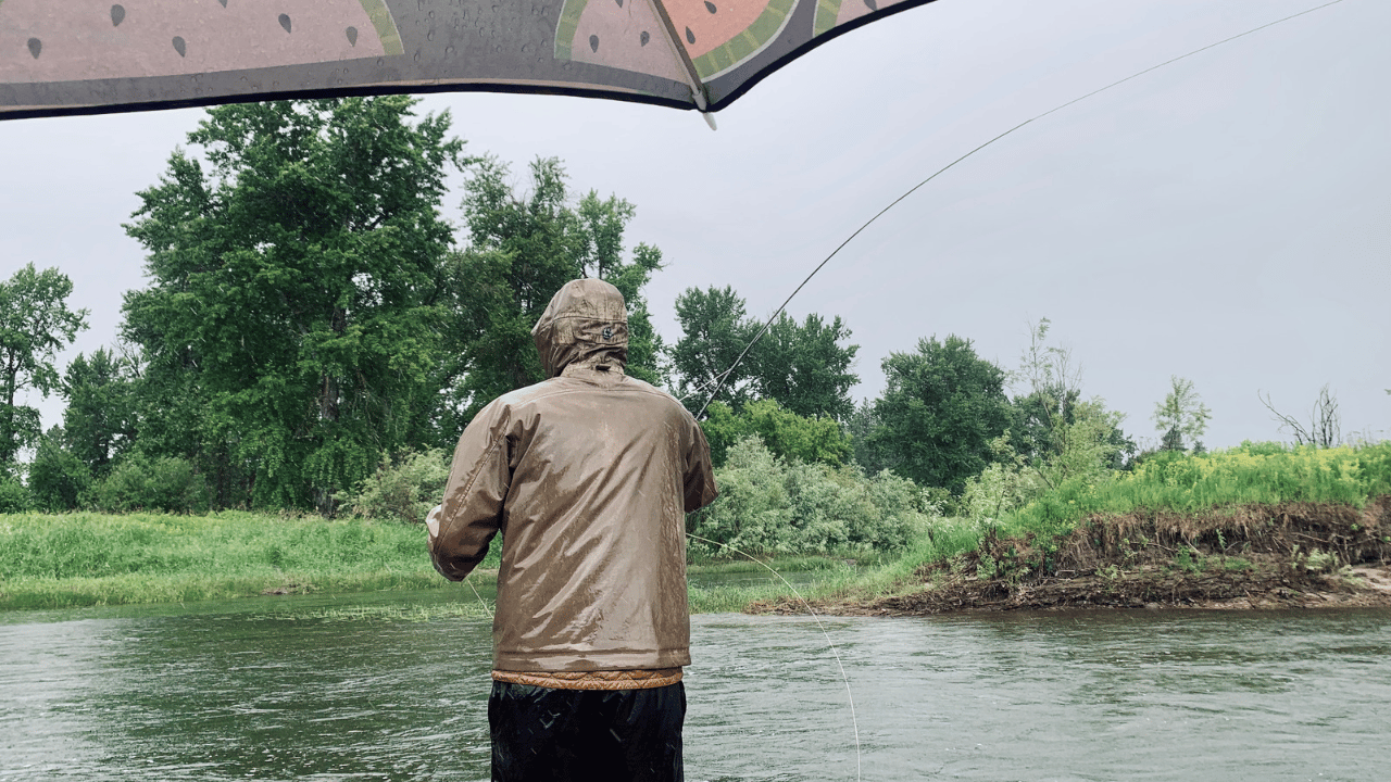 mr laine fishing in the rain 