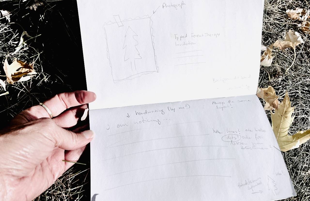 notebook pages with sketches and notes