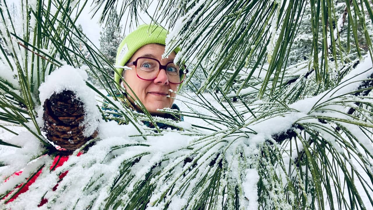 portrait of sylke in a snowy Ponderosa Pine