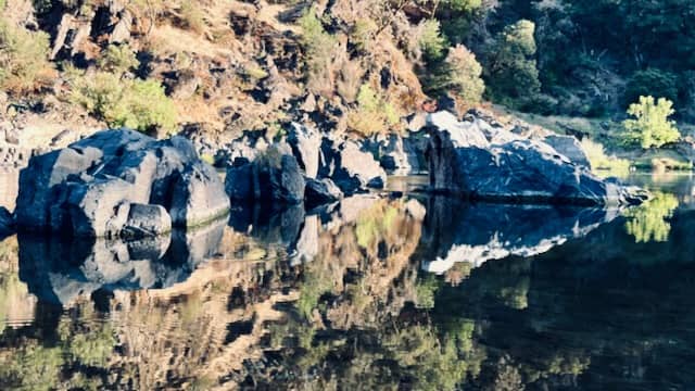 reflections of rock and plants on the rogue river