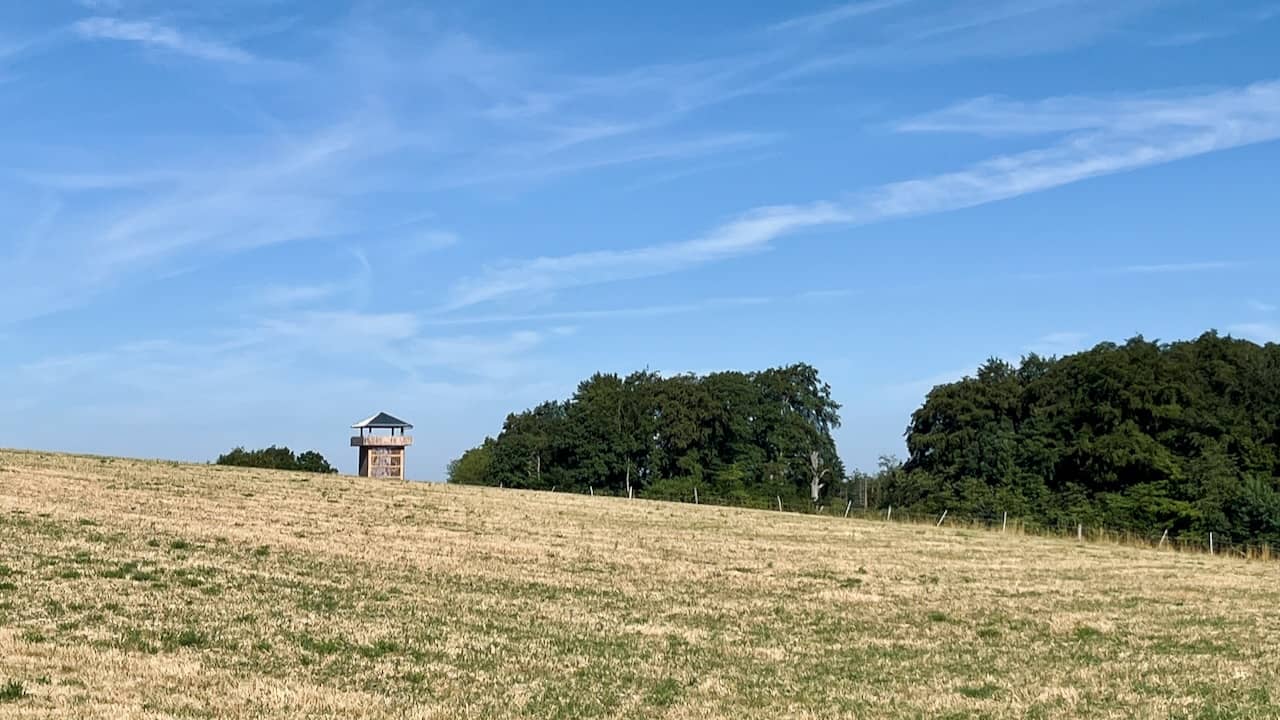 replica of a Roman watchtower in the German countryside