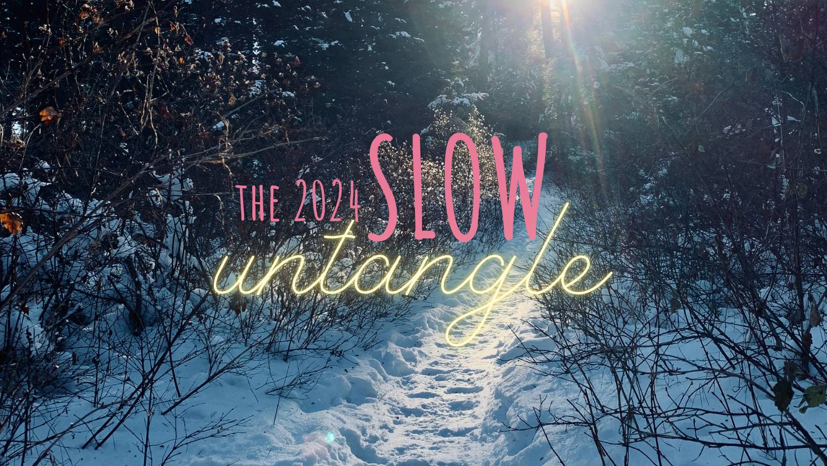 a snowy forest trail leading towards the sunshine. Text reads: The 2024 Slow Untangle