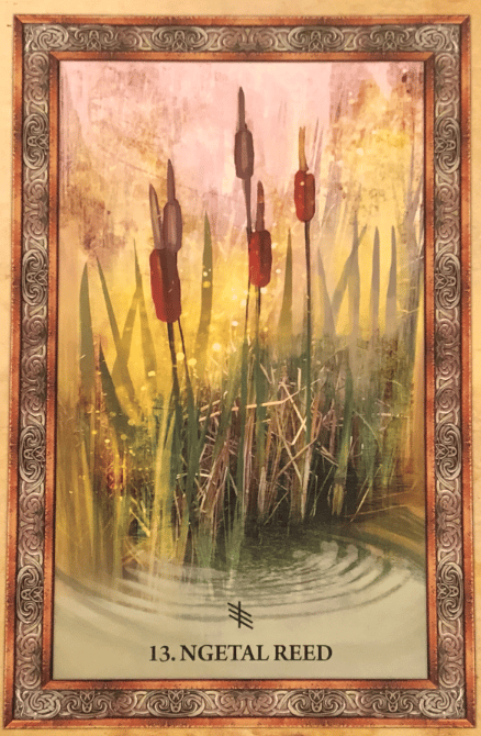 Free Celtic Oracle Readings