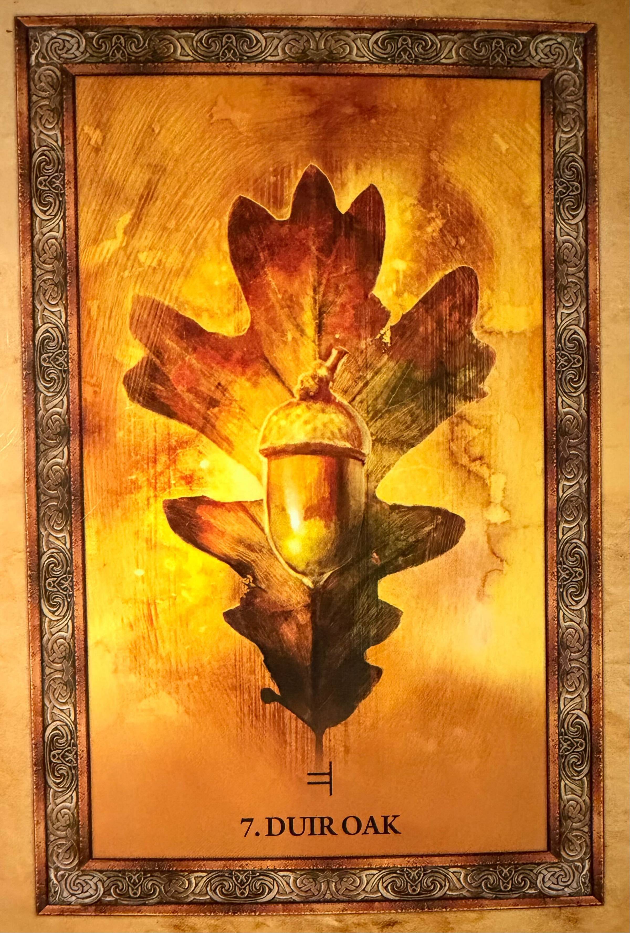 Oak Oracle Card shows a brown oak leaf with an acorn overlay