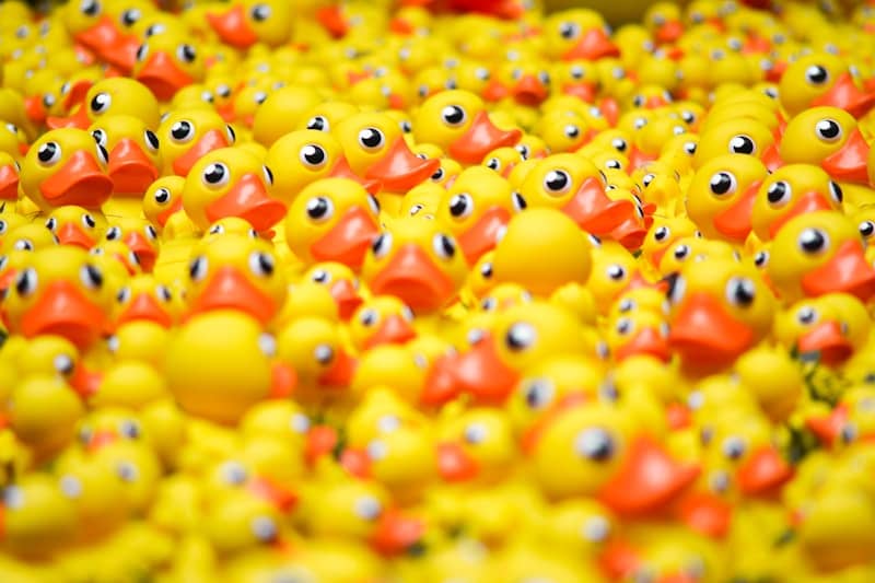pile of rubber duckies