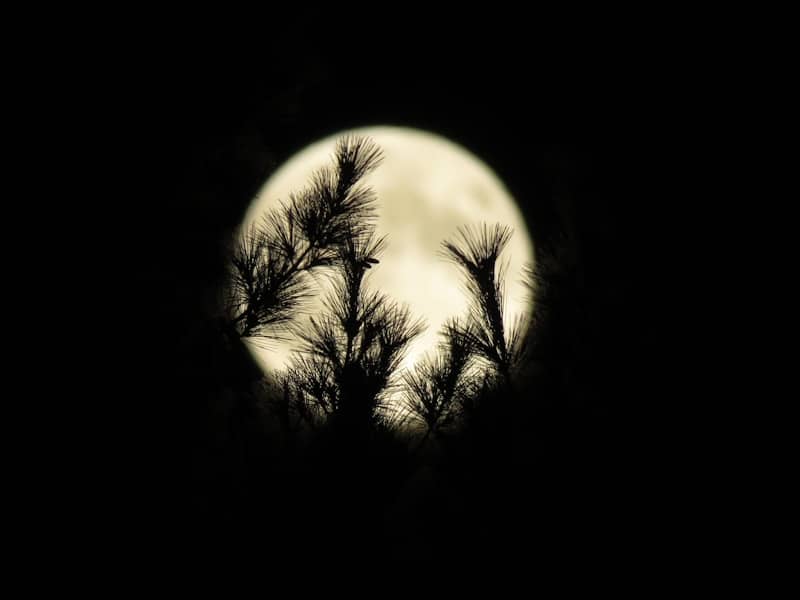 Full moon 