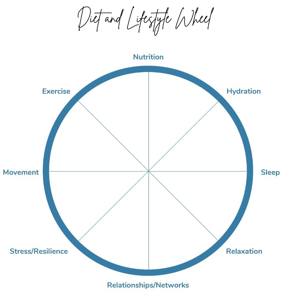Diet and Lifestyle Wheel