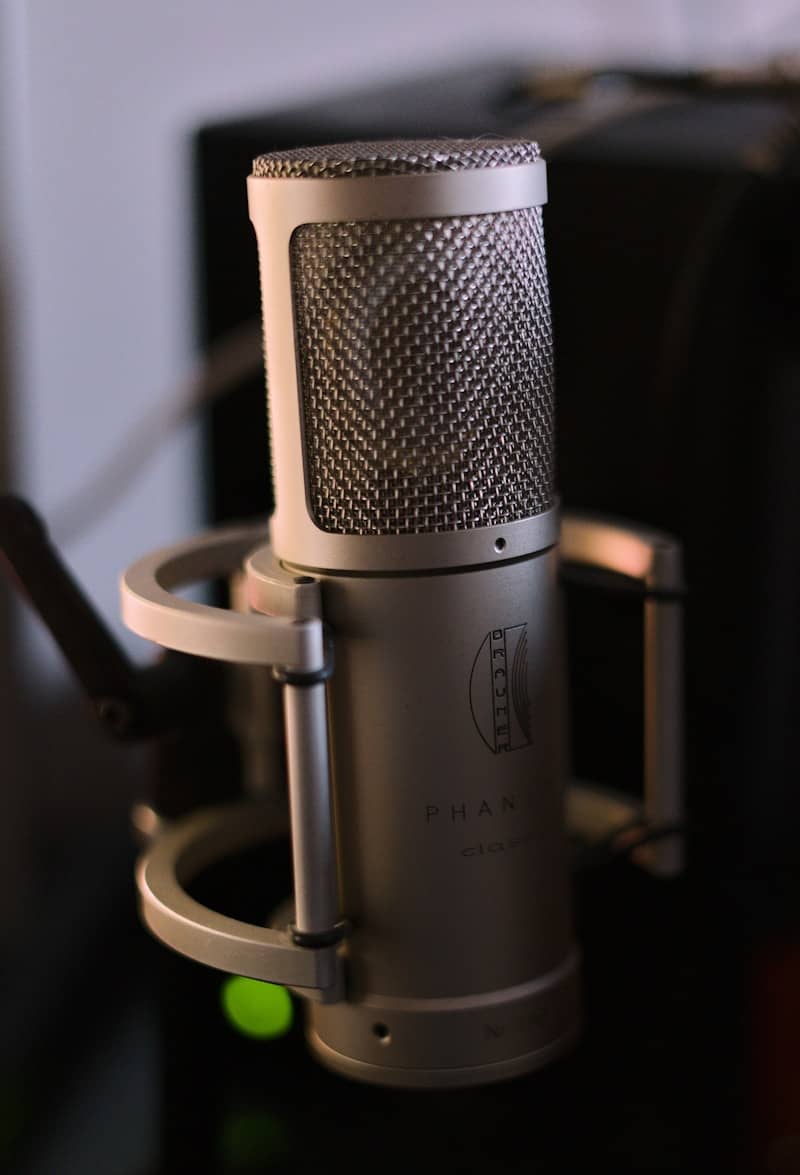 A professional condenser microphone with a shock mount.