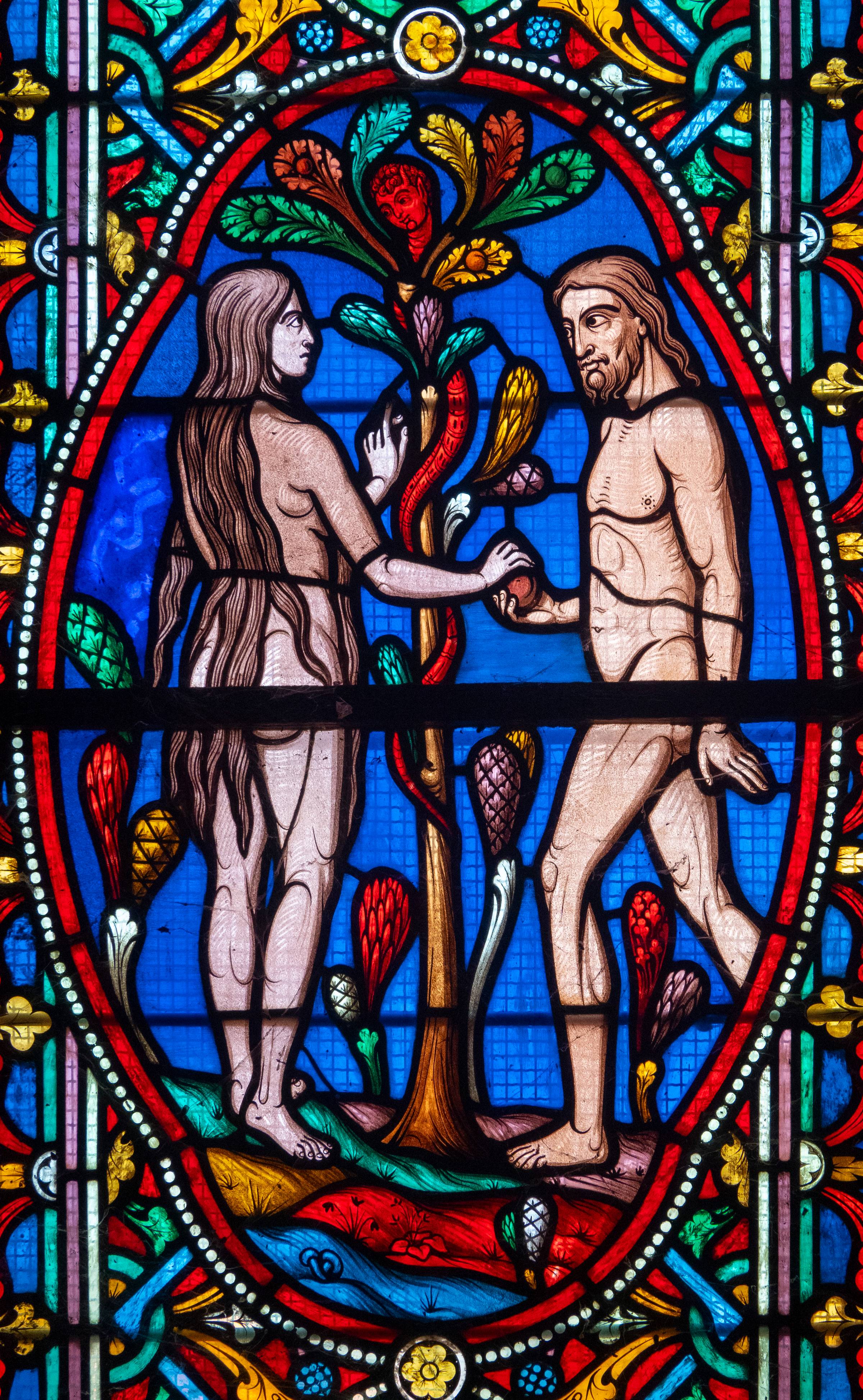 stained glass of two naked with a snake and an apple