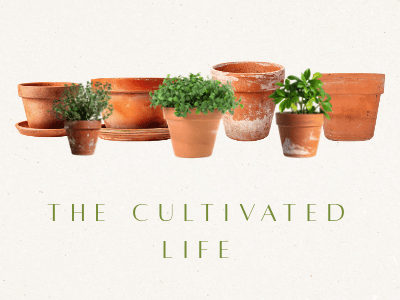 The Daily Homebody - Thursday