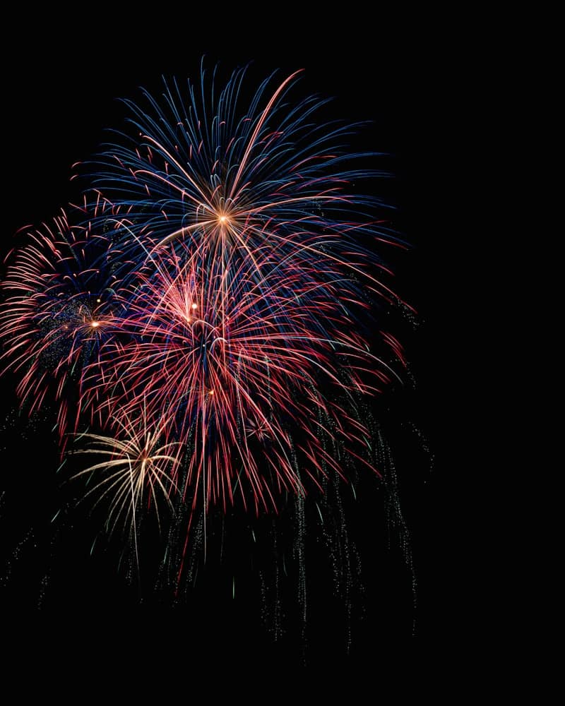 How to help your dog during fireworks