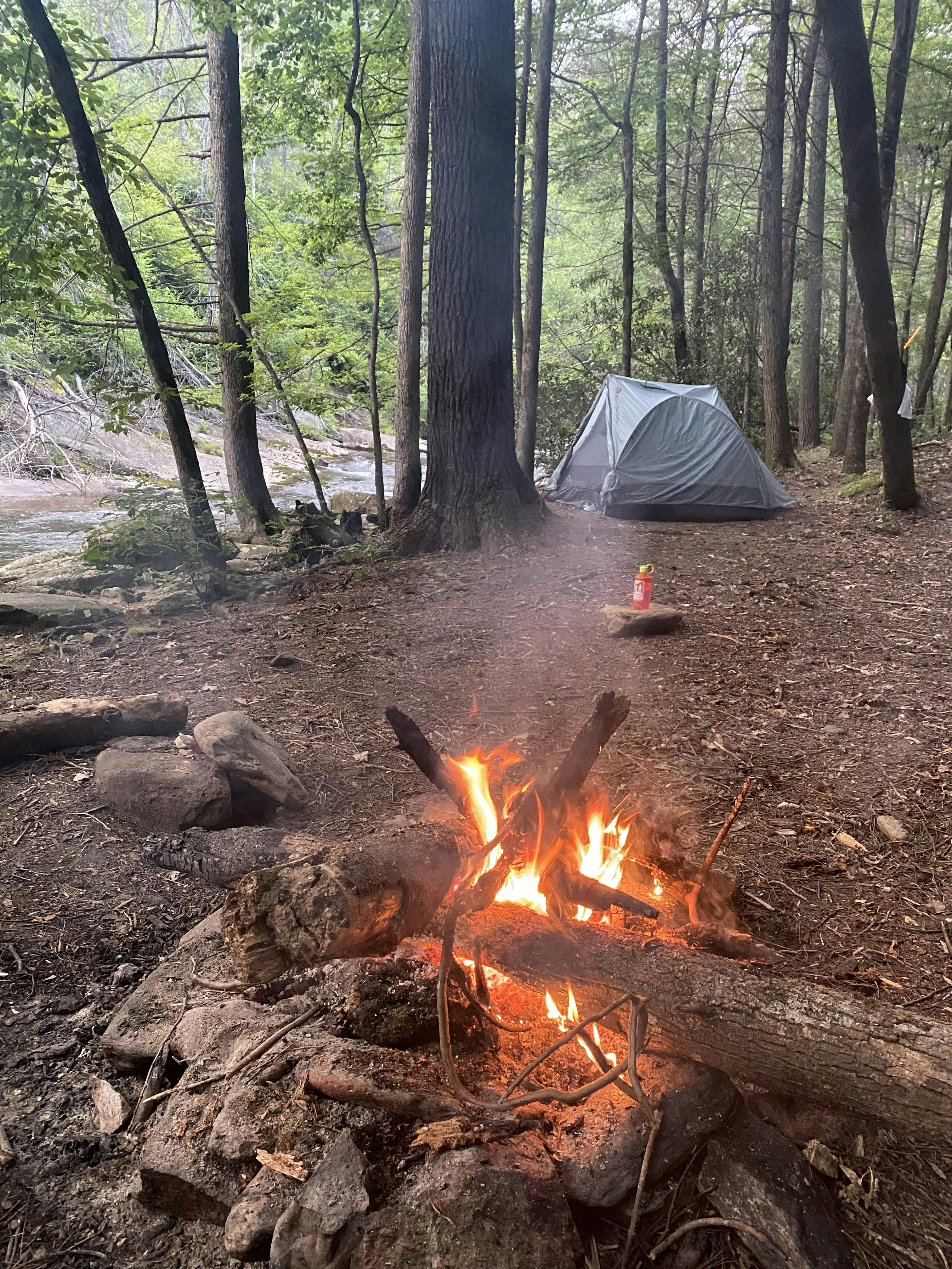 Picture of a campfire and a tent out in the woods.