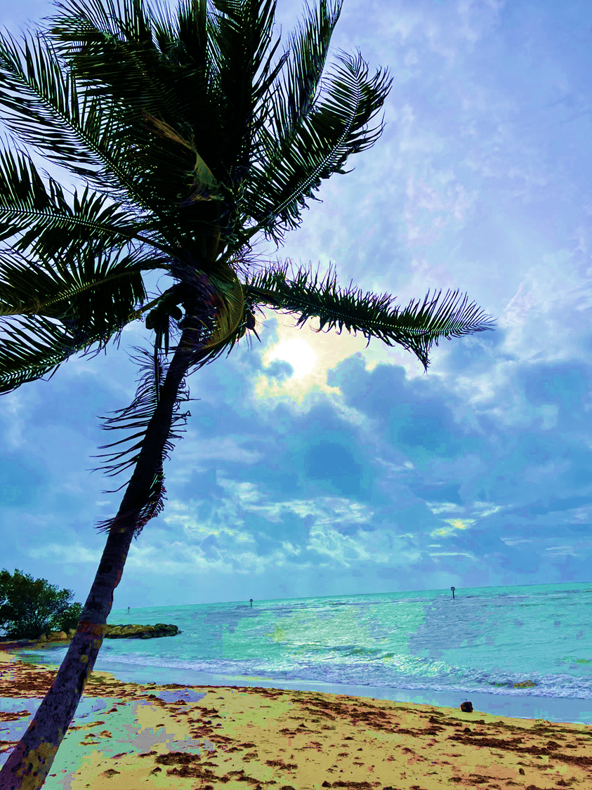 A dark blue sky filled with countless bright stars.