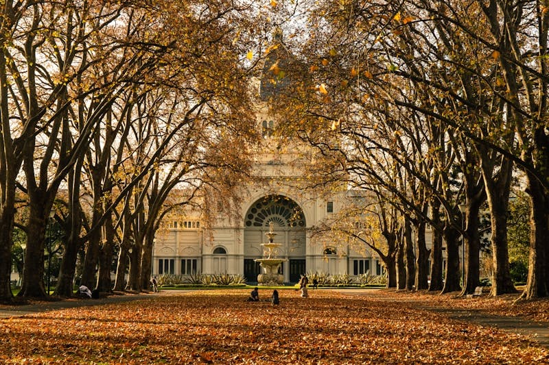 brown trees near brown concrete building during daytime