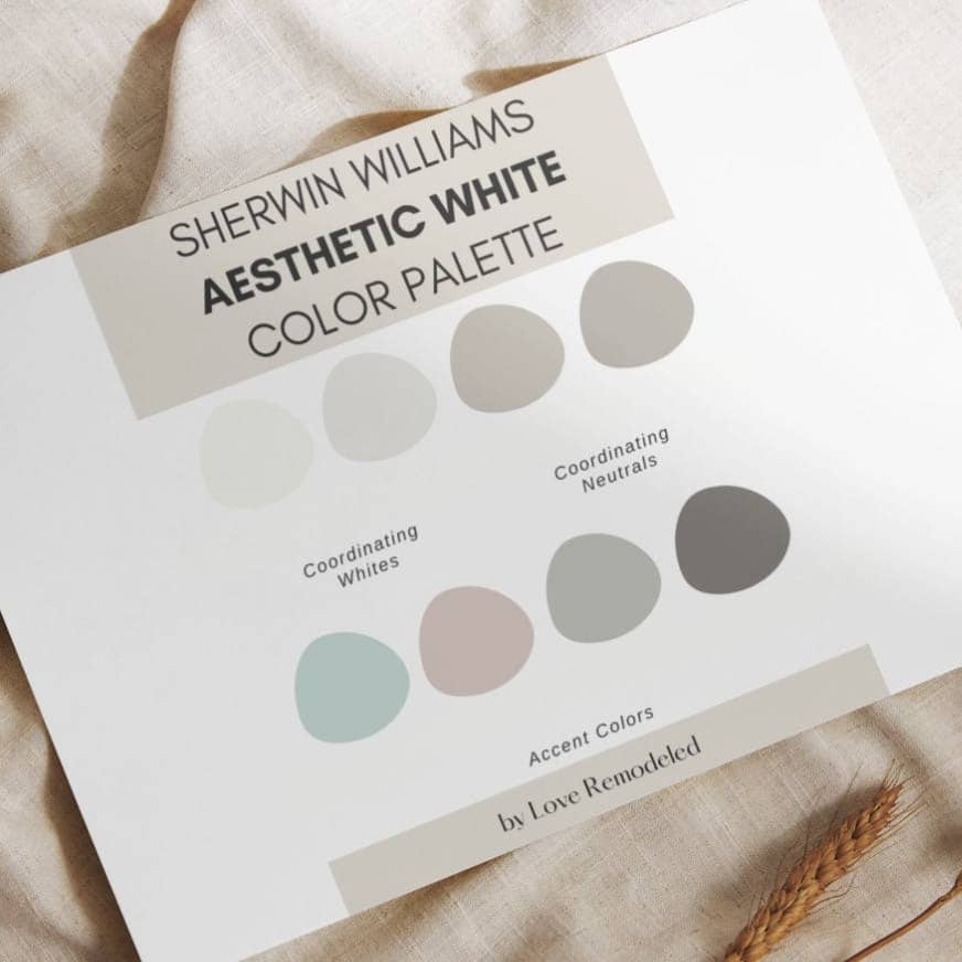 Aesthetic White Color Palette