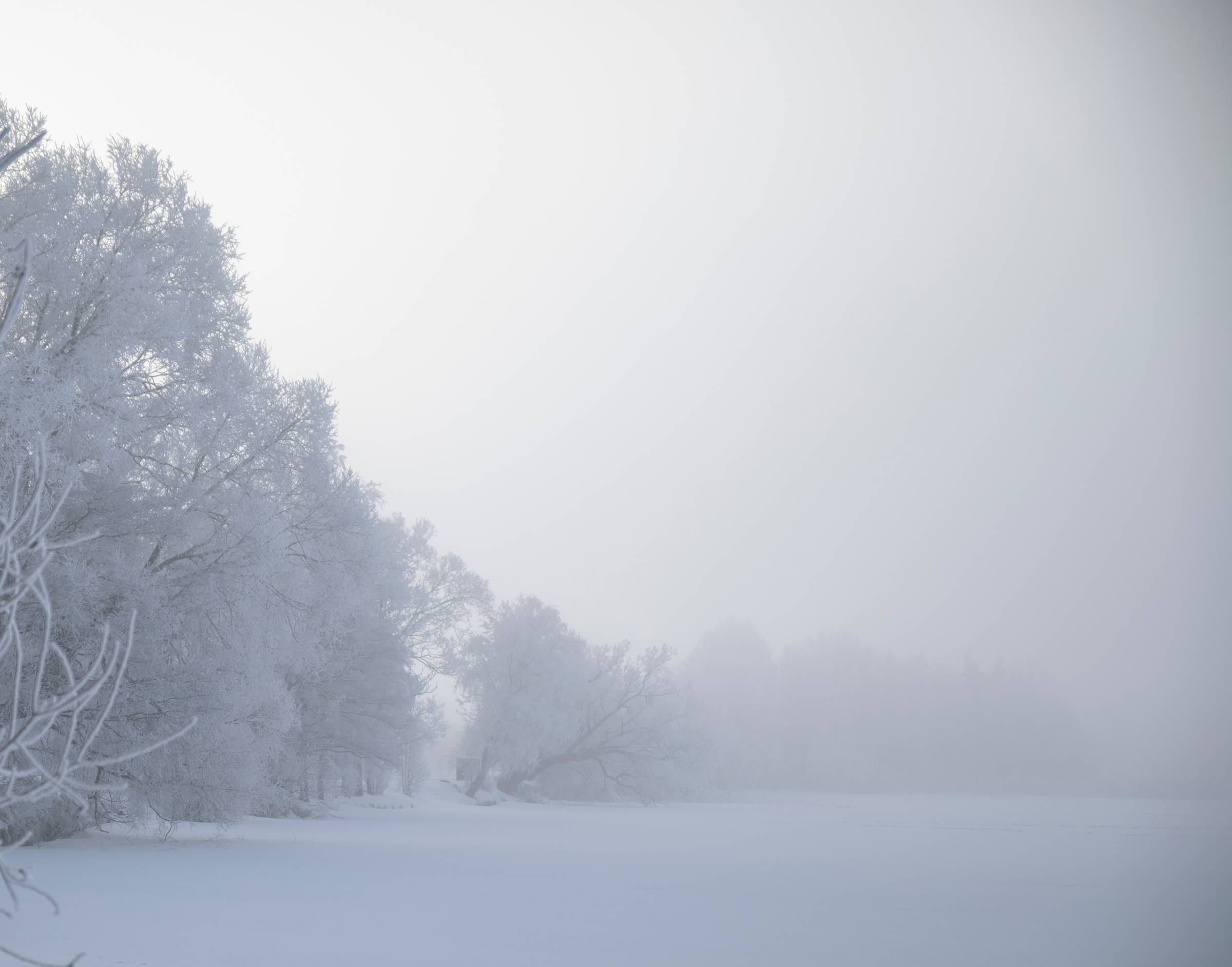 An image of nature under a thick coat of snow photographed by Julia Astok