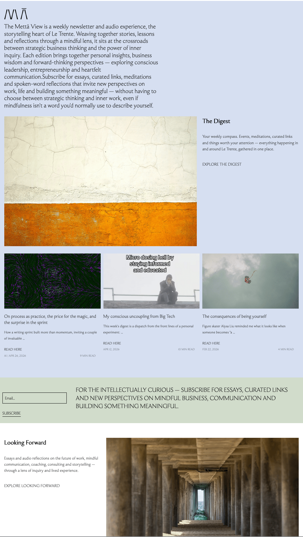 A sample page of the Metta View newsletter by Anne V Mühlethaler