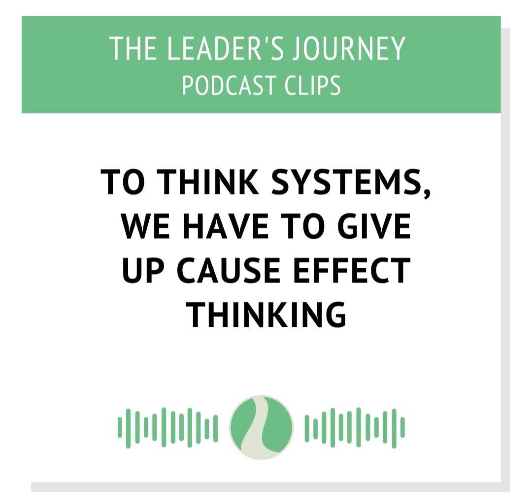 audiogram about thinking in systems vs cause effect thinking 