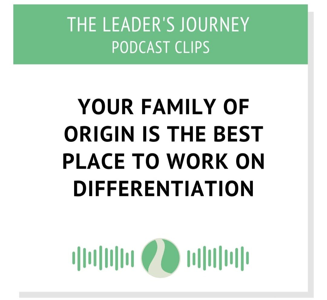 audiogram about family of origin and differentiation of self