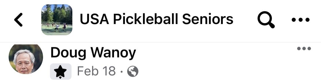 The Pickleball Troll | Pickler Pickleball