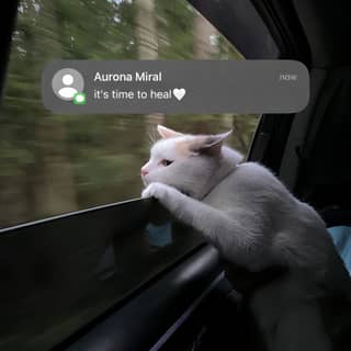 Recommended Creator
