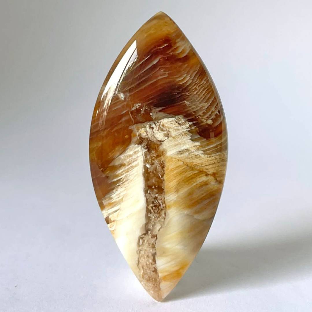 Agatized petrified wood cabochon