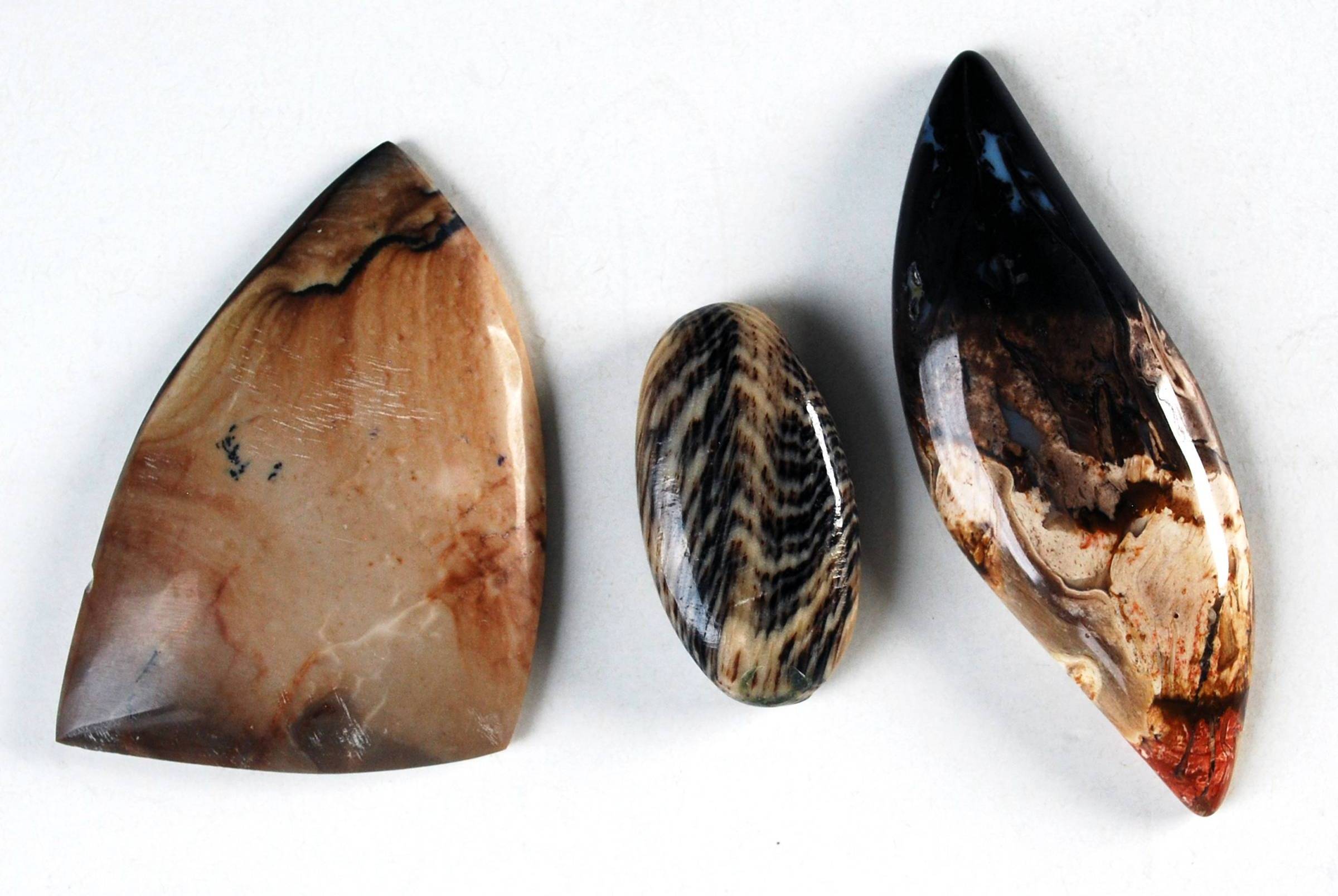 Three petrified wood cabochons