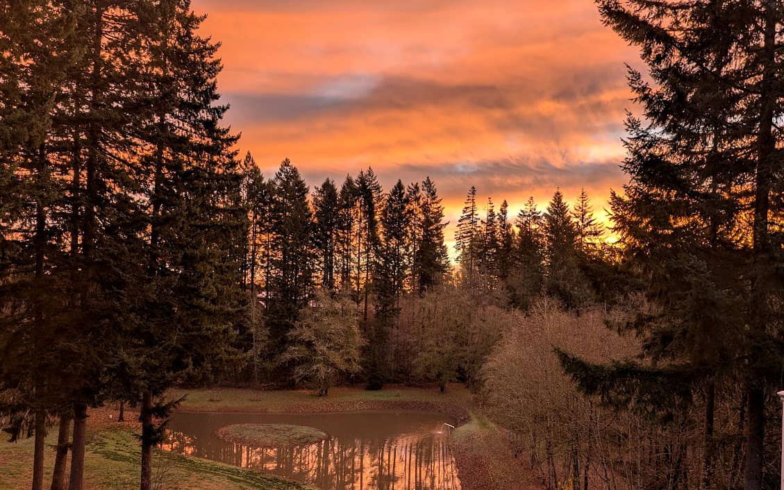Picture of a sunrise reflected in a pond