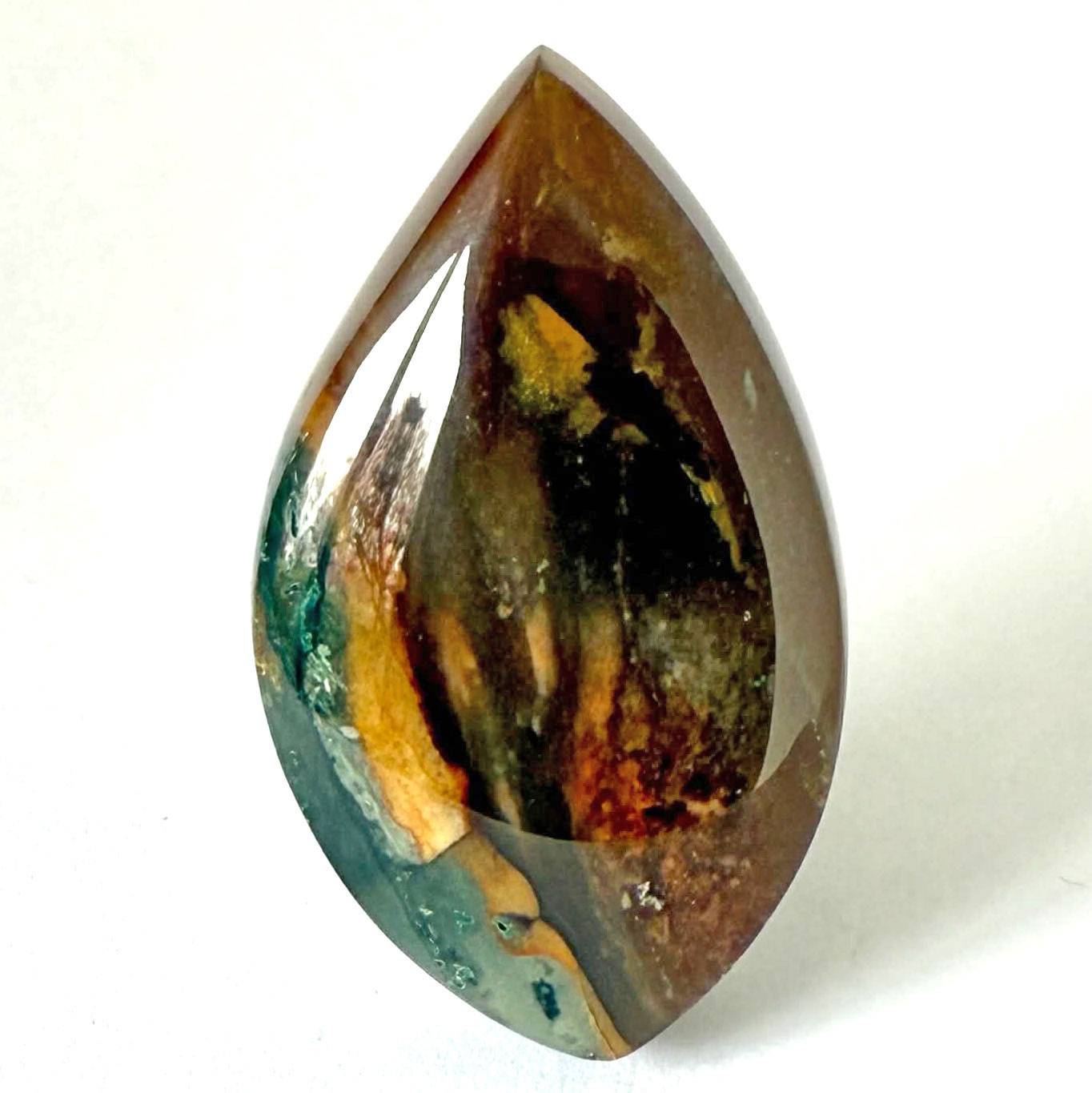 Opalized petrified wood cabochon